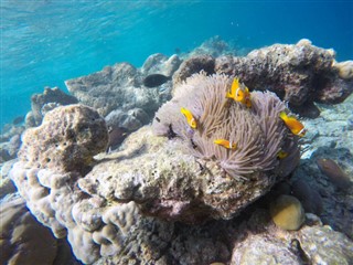 Mayotte vejrudsigt