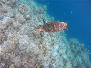 Mayotte hava tahmini