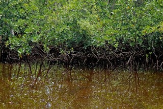 Mayotte vejrudsigt