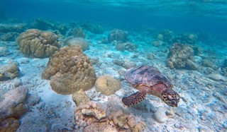 Mayotte hava tahmini