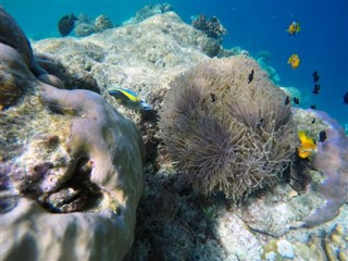 Mayotte hava tahmini