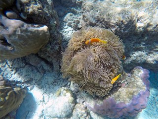 Mayotte weersvoorspelling