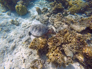 Mayotte prévisions météorologiques