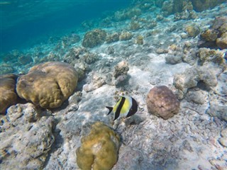 Mayotte hava tahmini