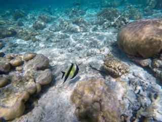 Mayotte Hava tahmini
