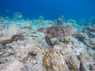 Mayotte vejrudsigt