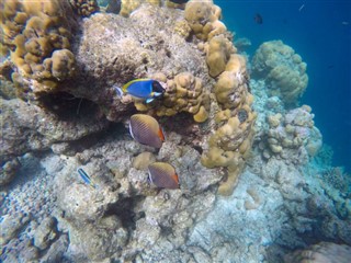 Mayotte hava tahmini