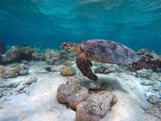 Mayotte hava tahmini