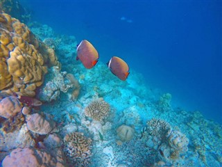 Mayotte hava tahmini