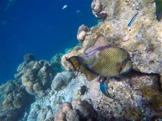 Mayotte hava tahmini