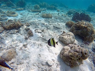 Mayotte vejrudsigt