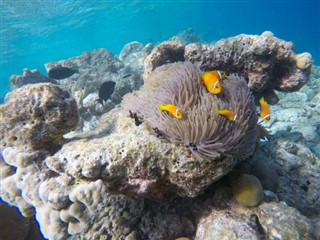 Mayotte vejrudsigt