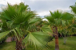 Mayotte prévisions météorologiques