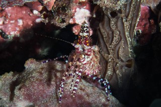 Mayotte hava tahmini
