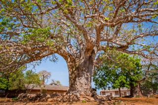 Mayotte vejrudsigt