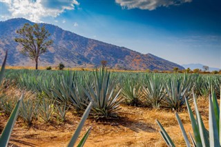 Mexico vejrudsigt