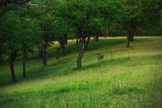 Moldova időjárás-jelentés