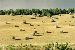 Moldova hava tahmini