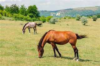 Moldova hava tahmini