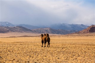 Mongoliet vejrudsigt