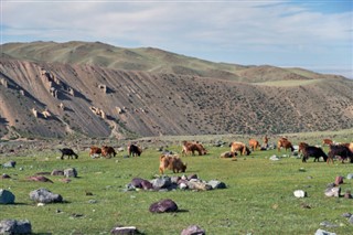 Moğolistan hava tahmini