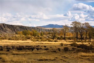 Mongolie prévisions météorologiques