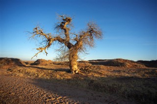 Mongoliet vejrudsigt