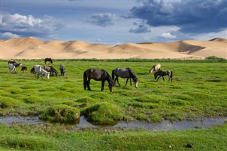 Moğolistan hava tahmini