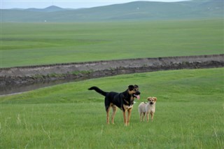Mongoliet vejrudsigt
