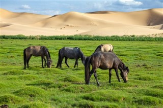 Mongolie prévisions météorologiques