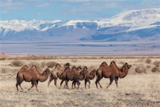 Moğolistan hava tahmini