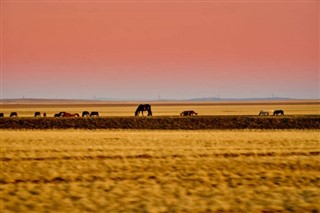 Mongoliet vejrudsigt