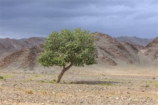 Mongolija vremenska prognoza