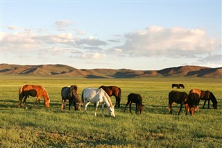 Mongoliet vejrudsigt