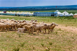 Moğolistan hava tahmini