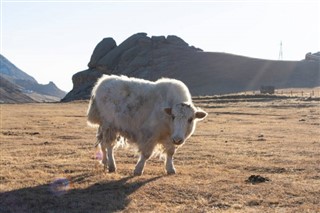 Moğolistan hava tahmini