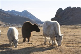 Mongoliet vejrudsigt