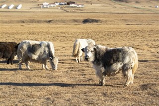 Moğolistan hava tahmini
