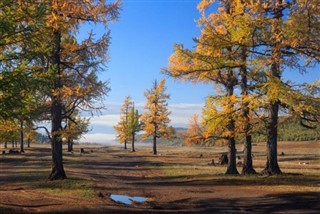 Moğolistan hava tahmini