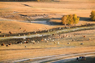 Moğolistan Hava tahmini