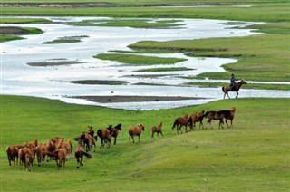 Mongoliet vejrudsigt