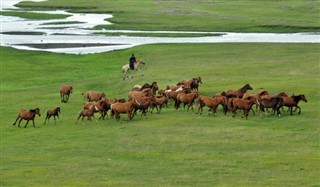 Moğolistan hava tahmini