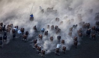 Mongolia pronóstico del tiempo