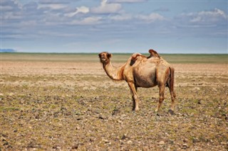 Moğolistan hava tahmini