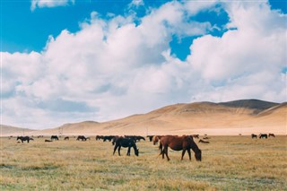 Mongoliet vejrudsigt