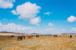 Mongolia Previsioni del tempo