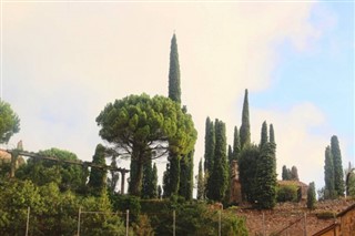 Montserrat hava tahmini