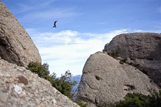 Montserrat hava tahmini