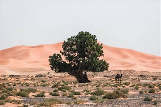 Maroc prévisions météorologiques