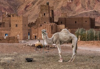 Maroc prévisions météorologiques